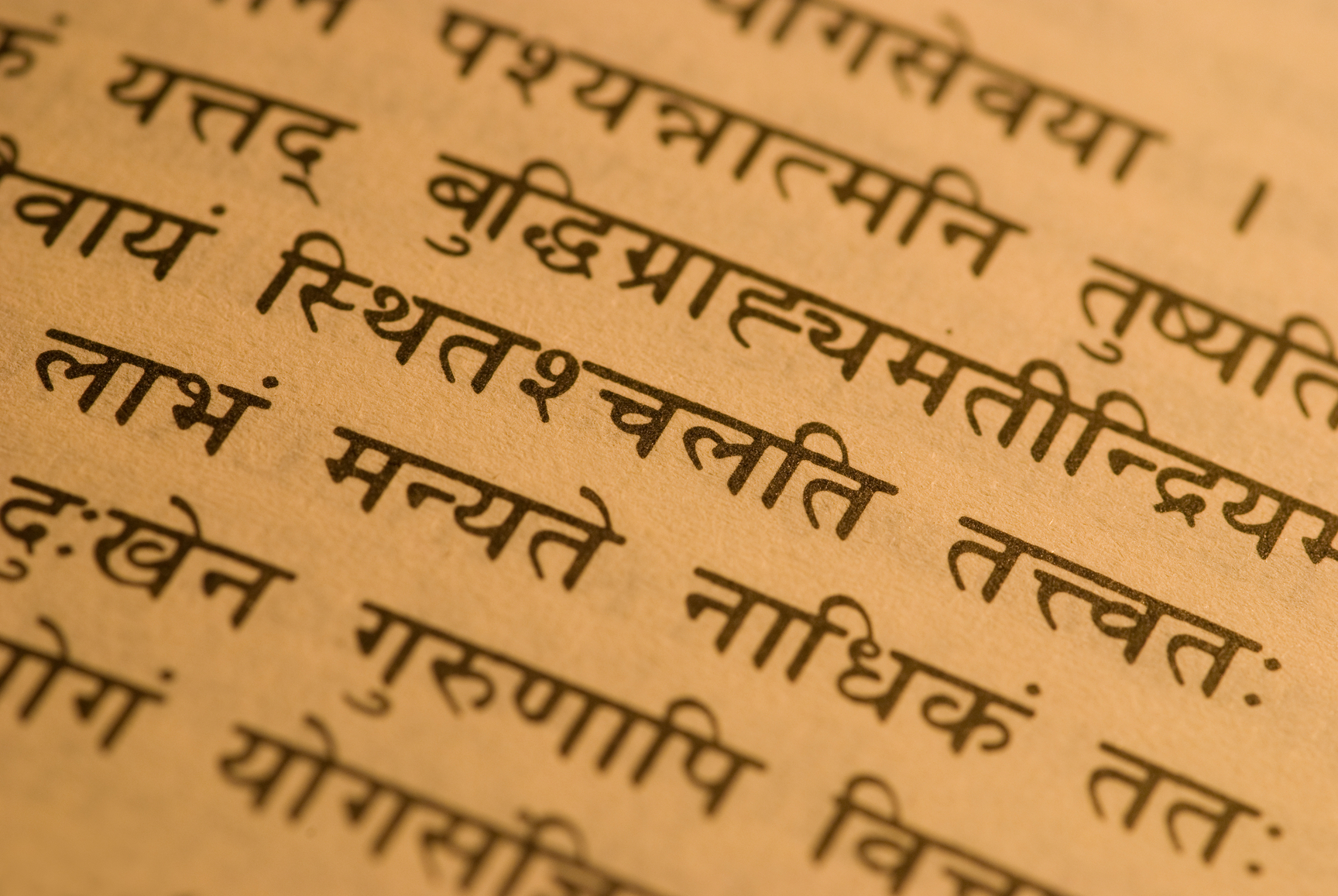 Sanskrit Class Resumes This Friday | Lackawanna County Library System