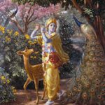 Flora, Fauna and Climate in the Vedas