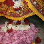 Srimati Radharani Holy Lotus Feet Darshan