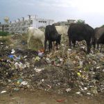 No action on dumping on riverbanks even after fines