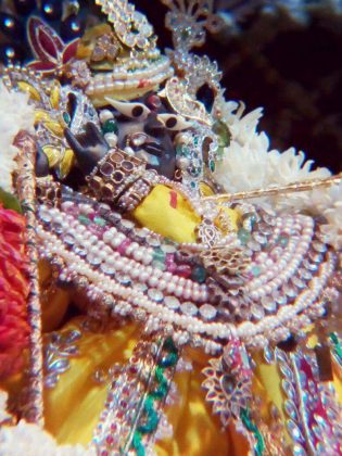 The beautiful deity of Sri Radha Raman, who manifested to Sri Gopal Bhatt Goswami