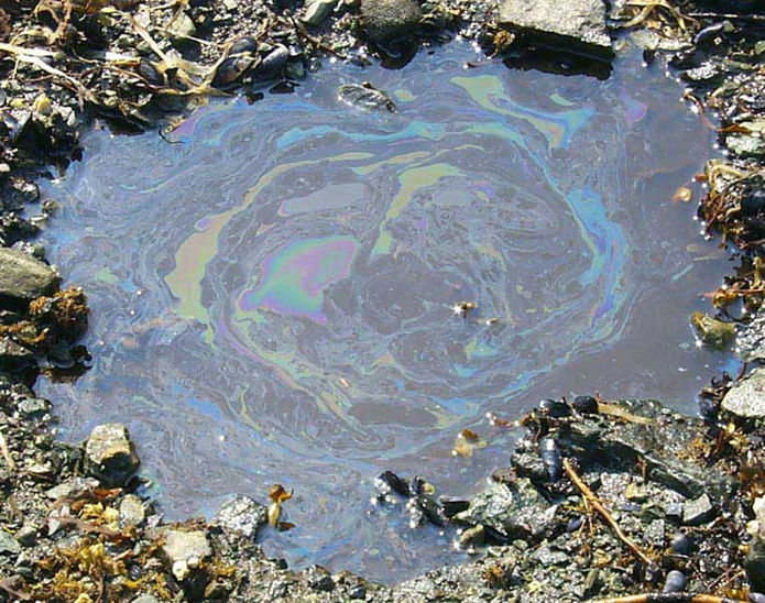 Oil-in-puddle