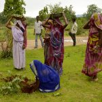 India planted 66 million trees in one day – smashing the world record