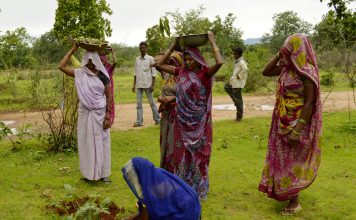 India planting 66 million trees
