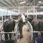 BJP asks state government to withdraw its decision to construct a slaughterhouse in Navadwip