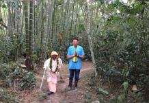 gopananda bon maharaja bamboo forest
