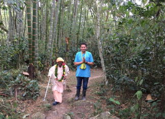 gopananda bon maharaja bamboo forest