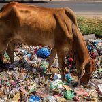 India Will Abolish All Single-use Plastic by 2022, Vows Narendra Modi